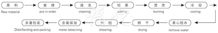 脫水蔬菜帶式干燥工藝流程